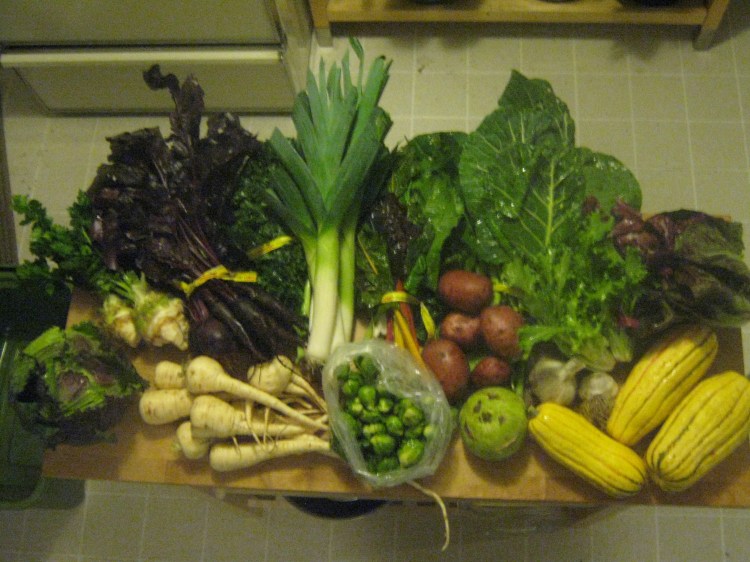CSA share winter 2012