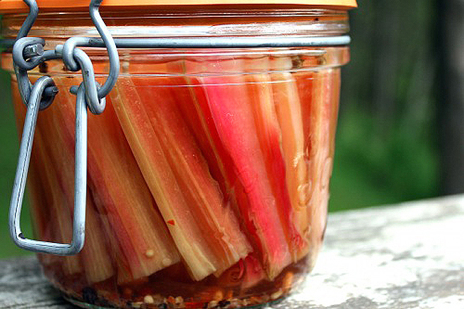 chard stem pickle