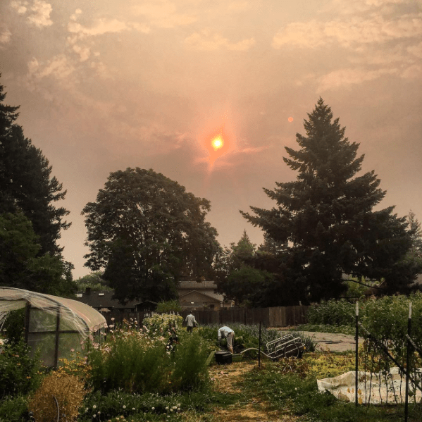 Screen Shot 2017-09-06 at 10.17.09 AM