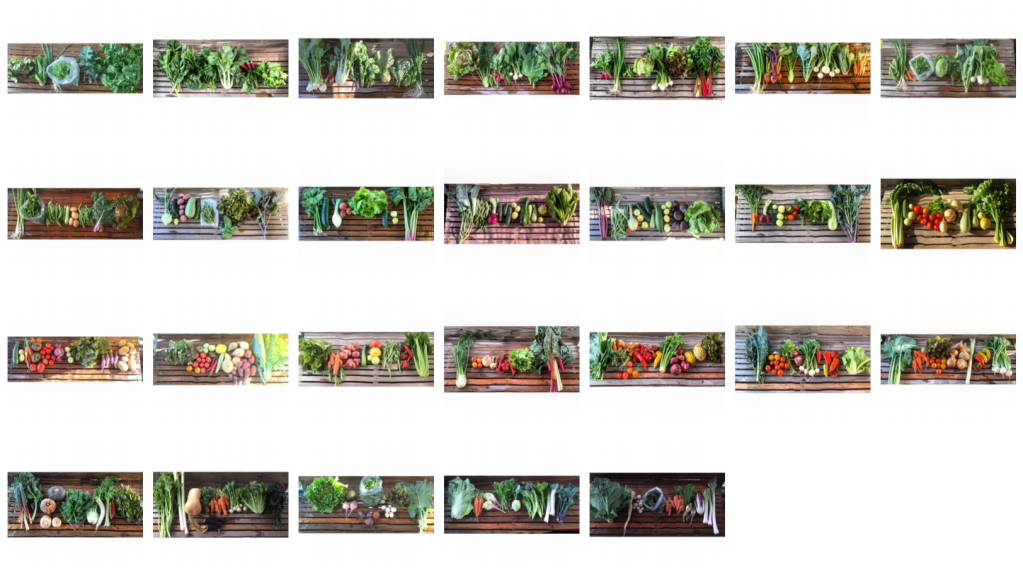 Grid of 27 images of CSA vegetable shares