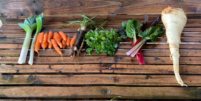Cully Neighborhood Farm photo 17