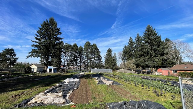 Cully Neighborhood Farm photo 3