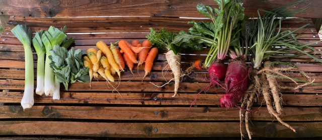 Cully Neighborhood Farm photo 15